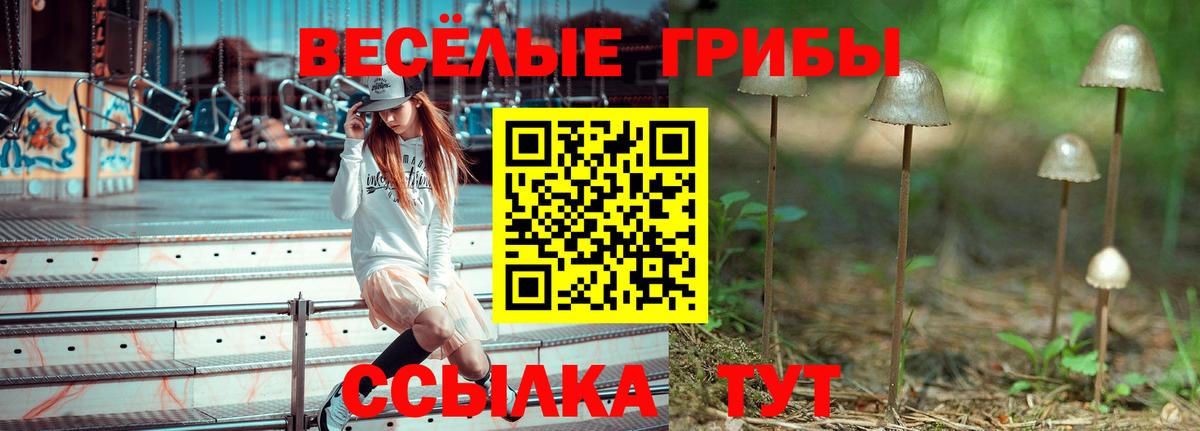 Лесозаводск  Галлюциногенные грибы прущие грибы  купить   Псилоцибиновые грибы мицелий  Вход с VPN 
